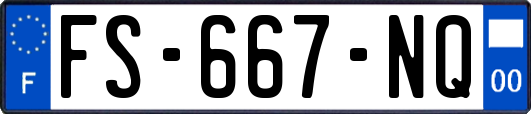 FS-667-NQ