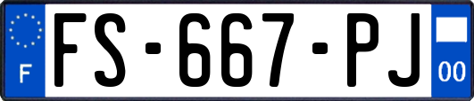 FS-667-PJ
