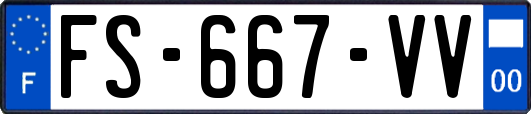 FS-667-VV
