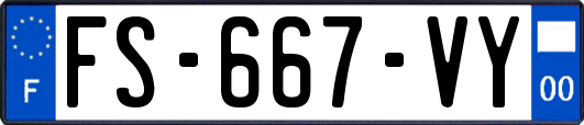 FS-667-VY