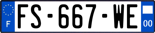 FS-667-WE