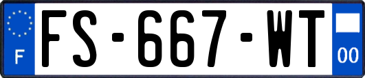 FS-667-WT