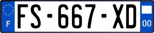 FS-667-XD