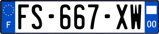 FS-667-XW