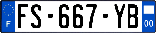 FS-667-YB