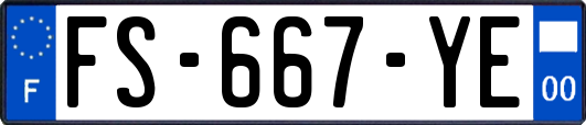 FS-667-YE