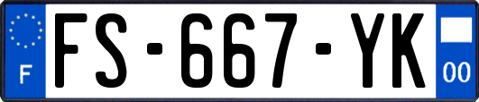 FS-667-YK