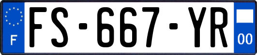 FS-667-YR