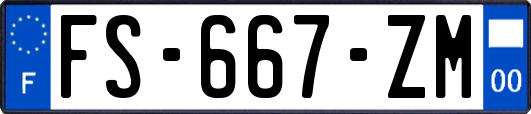 FS-667-ZM