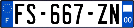 FS-667-ZN