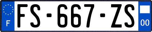 FS-667-ZS