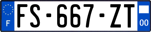 FS-667-ZT