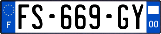 FS-669-GY