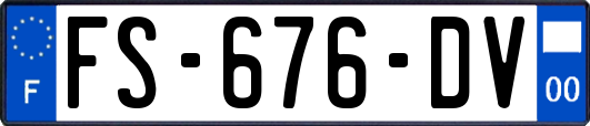 FS-676-DV