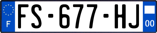 FS-677-HJ