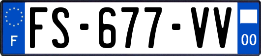 FS-677-VV