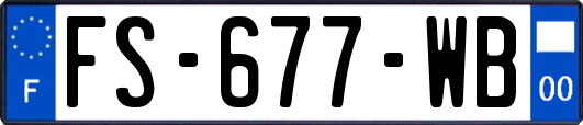 FS-677-WB