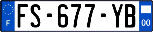 FS-677-YB