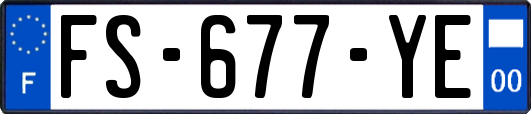 FS-677-YE