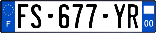 FS-677-YR