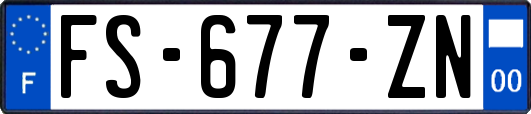 FS-677-ZN