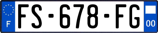 FS-678-FG