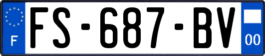 FS-687-BV