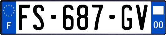FS-687-GV