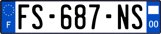 FS-687-NS
