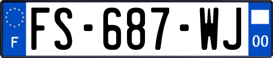 FS-687-WJ
