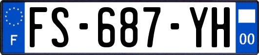 FS-687-YH