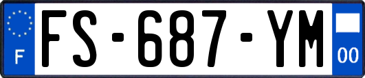 FS-687-YM