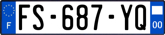 FS-687-YQ
