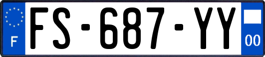 FS-687-YY