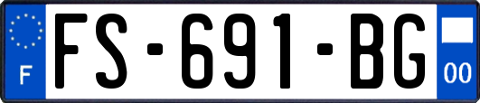 FS-691-BG