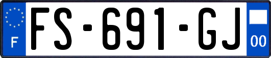 FS-691-GJ