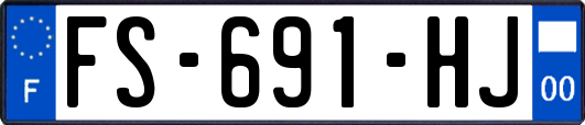 FS-691-HJ