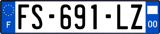 FS-691-LZ