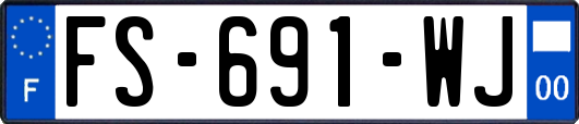 FS-691-WJ