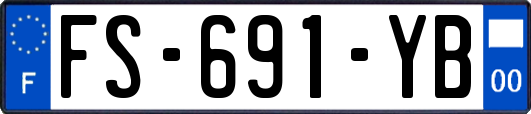 FS-691-YB