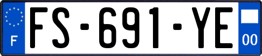 FS-691-YE