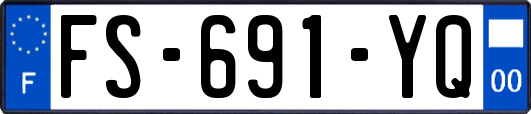 FS-691-YQ