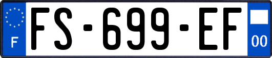 FS-699-EF