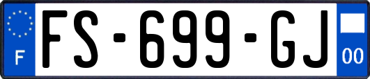 FS-699-GJ