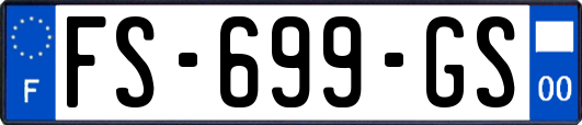 FS-699-GS