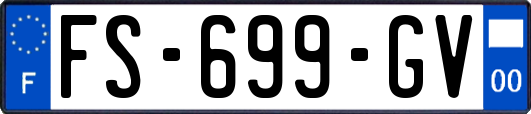 FS-699-GV