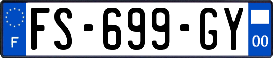 FS-699-GY
