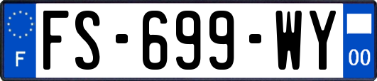 FS-699-WY