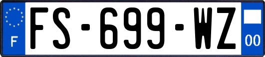 FS-699-WZ