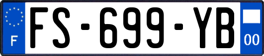 FS-699-YB